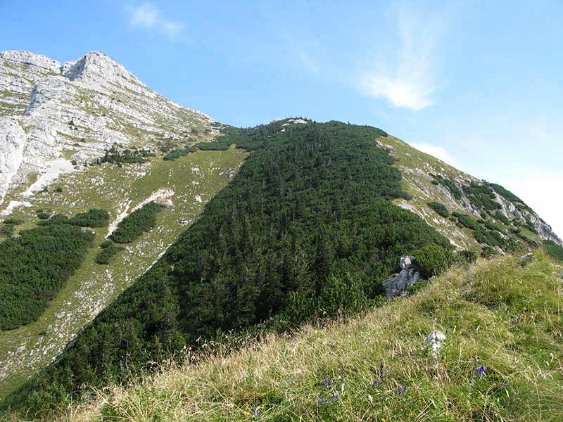 alpinweg